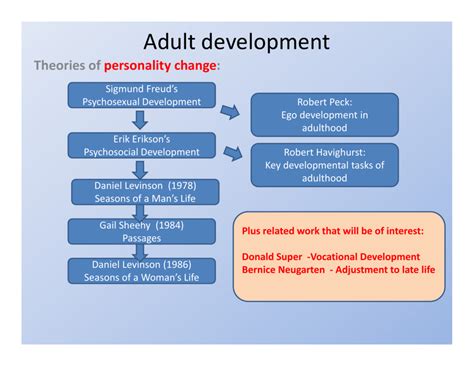 levinson theory of adulthood development